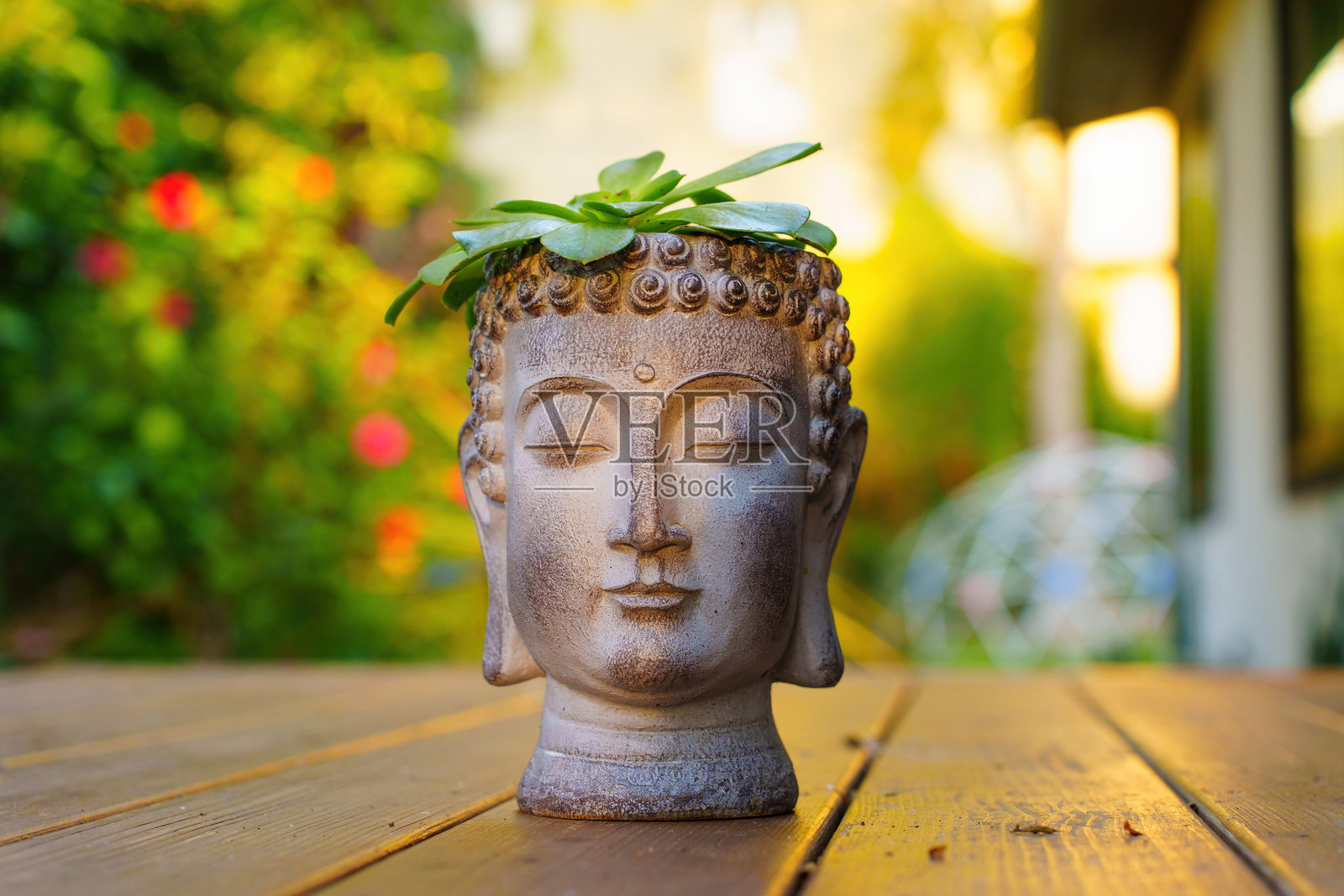 佛头花盆与多肉植物，背景为模糊的花园景色照片摄影图片