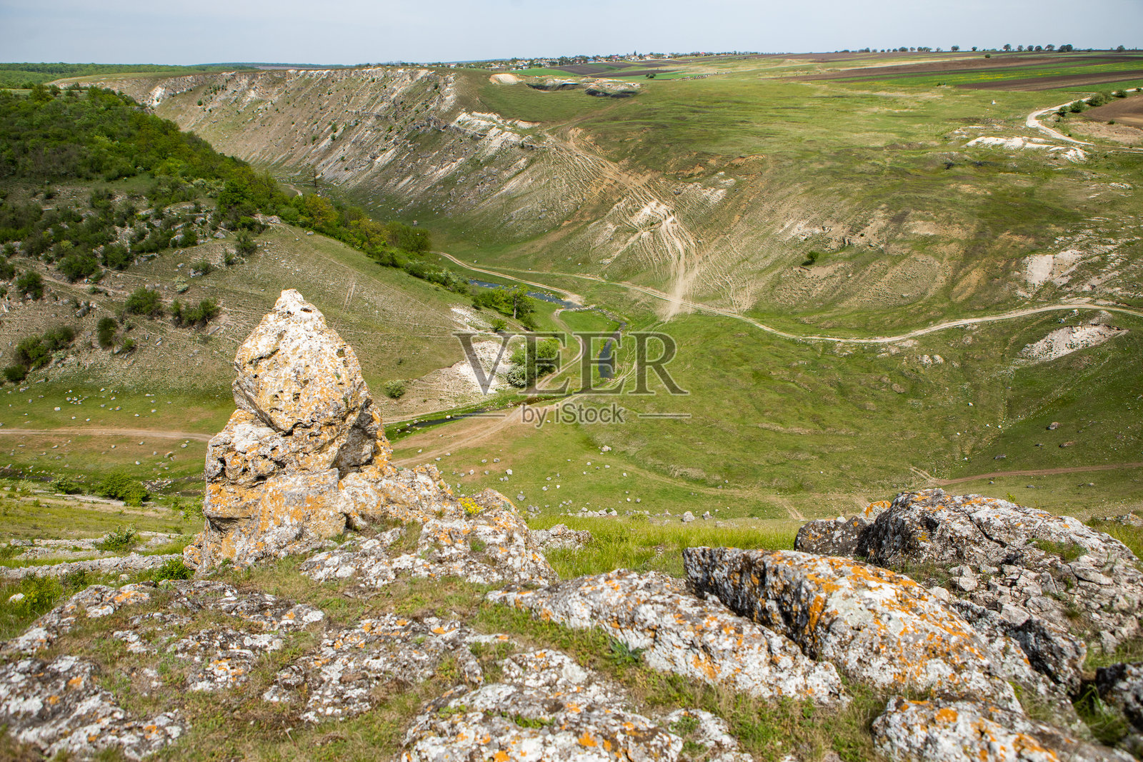 摩尔多瓦共和国美丽的绿色自然风光。夏季摩尔多瓦乡村的迷人绿色。照片摄影图片