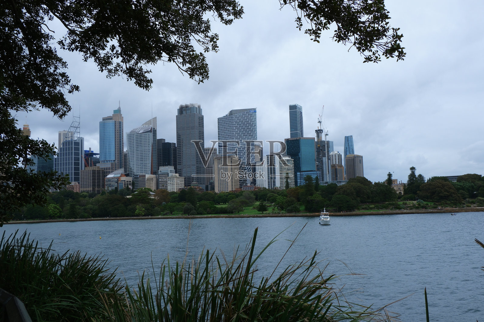 在阴云密布的天空下，从绿色植被后方观察悉尼的高楼大厦。照片摄影图片