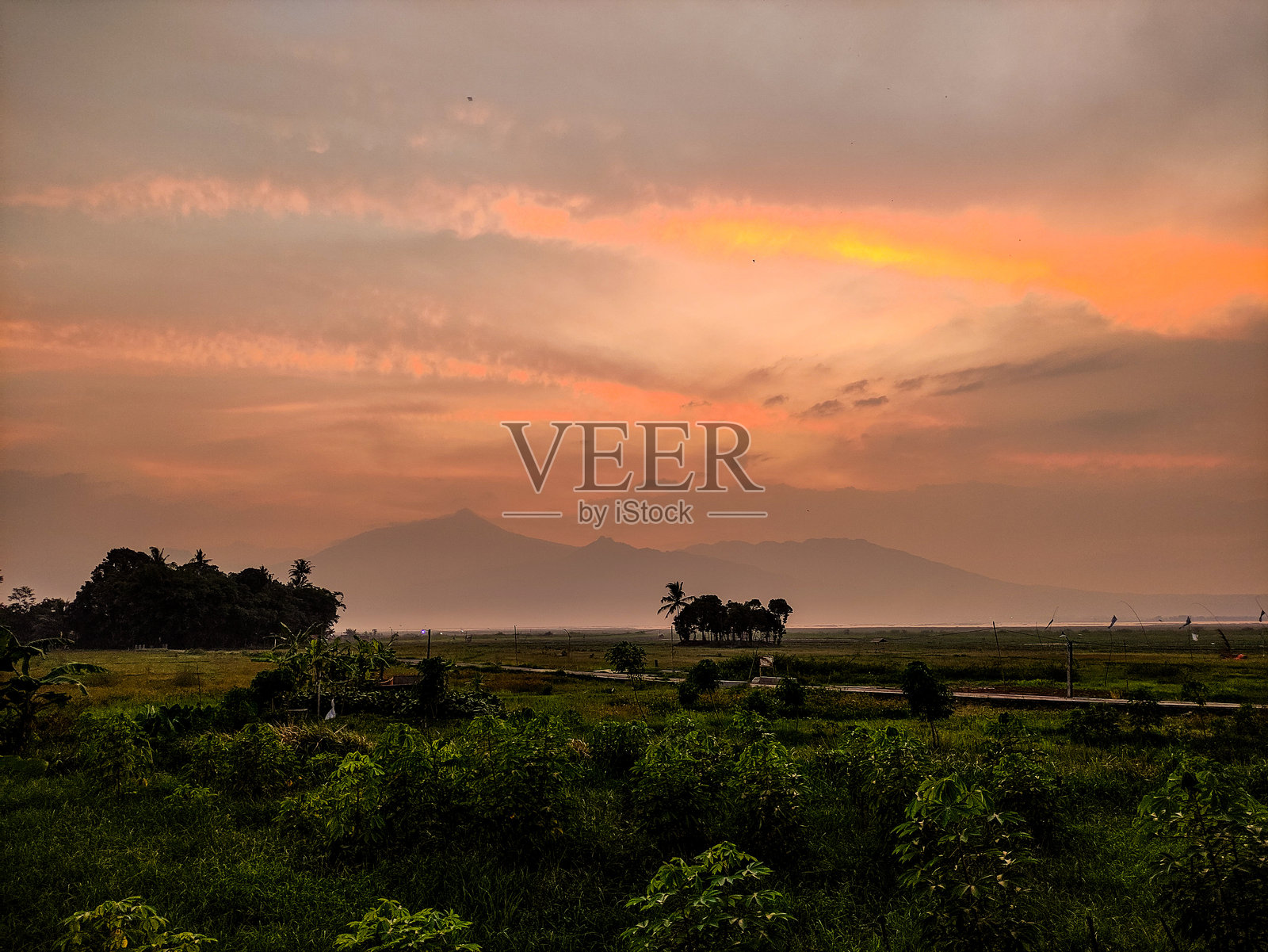宁静的日落风景，远处的特洛莫约山脉和郁郁葱葱的绿田照片摄影图片