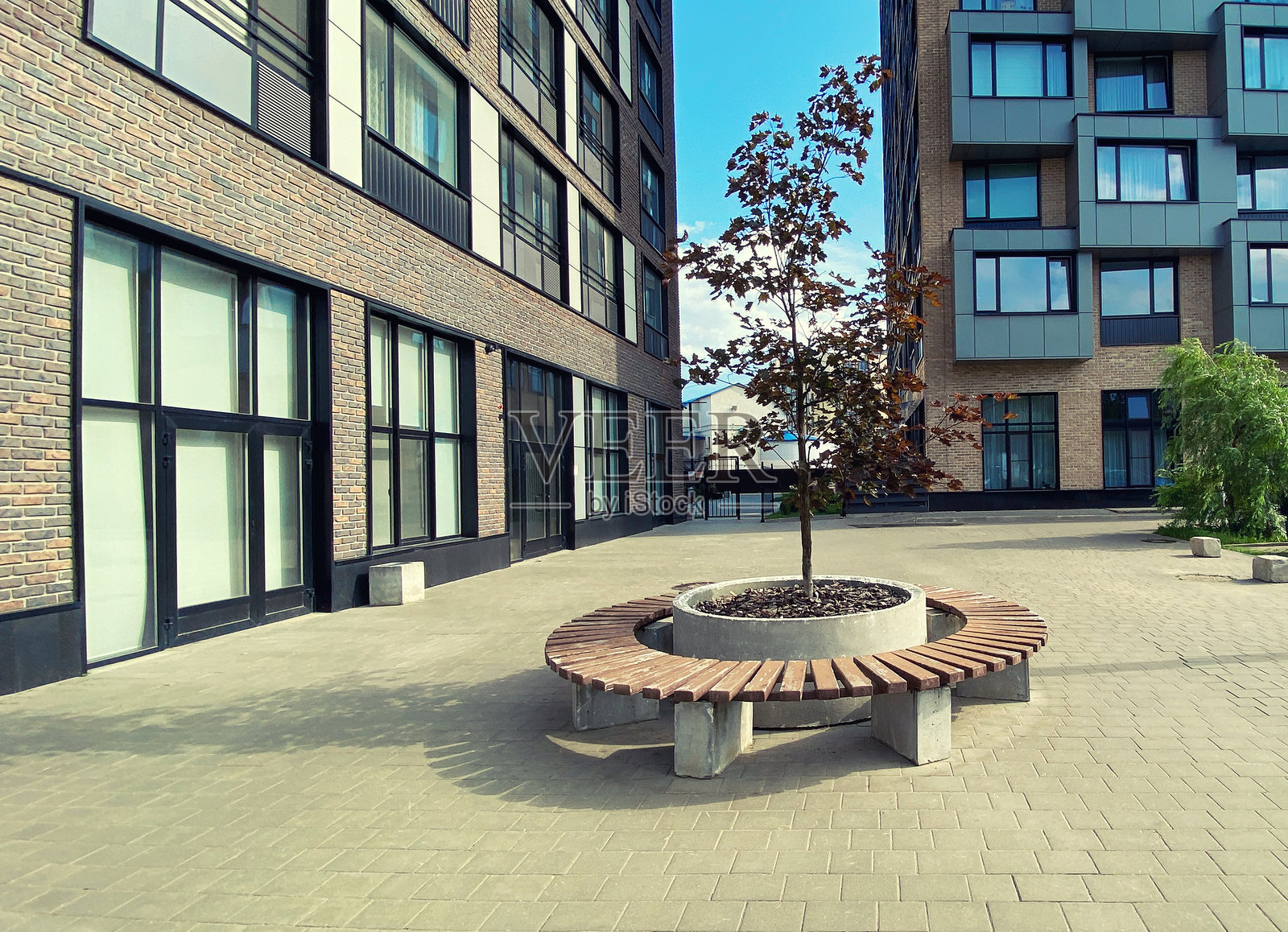 现代建筑，房地产，住宅公寓大楼，树旁的长椅，城市环境照片摄影图片