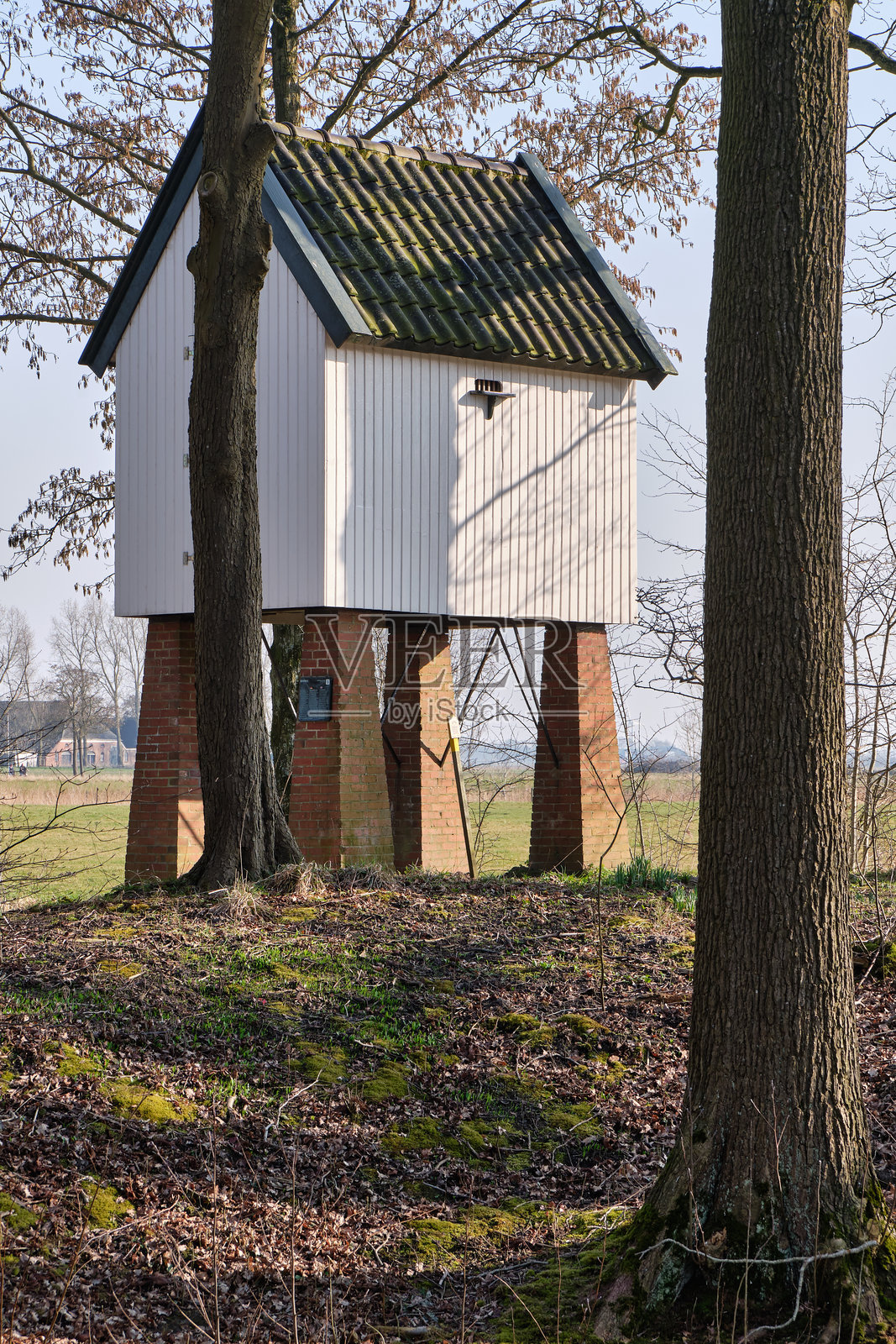 博尔赫·费尔希尔德斯姆的历史鸽舍，坐落于砖柱上照片摄影图片