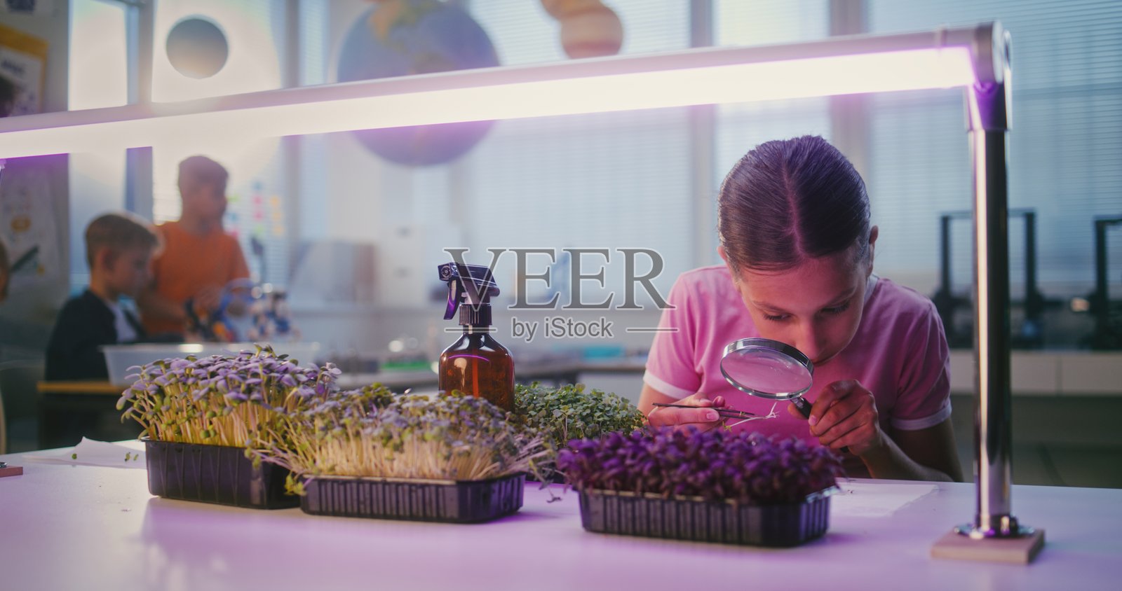 才华横溢的女孩坐在桌子旁，使用智能手机进行植物生物实验照片摄影图片