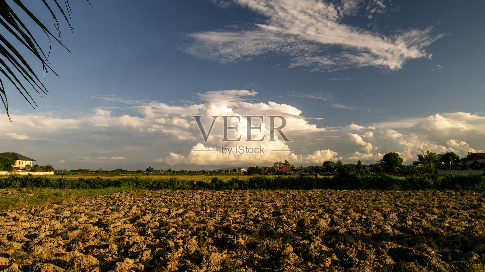 热带夏季蓝天，蓬松的白云，阳光明媚的夏日云景。清澈明亮的蓝色天际，春季阳光气候背景。蓝色的天空环境，生态高雅的自然风光。照片摄影图片