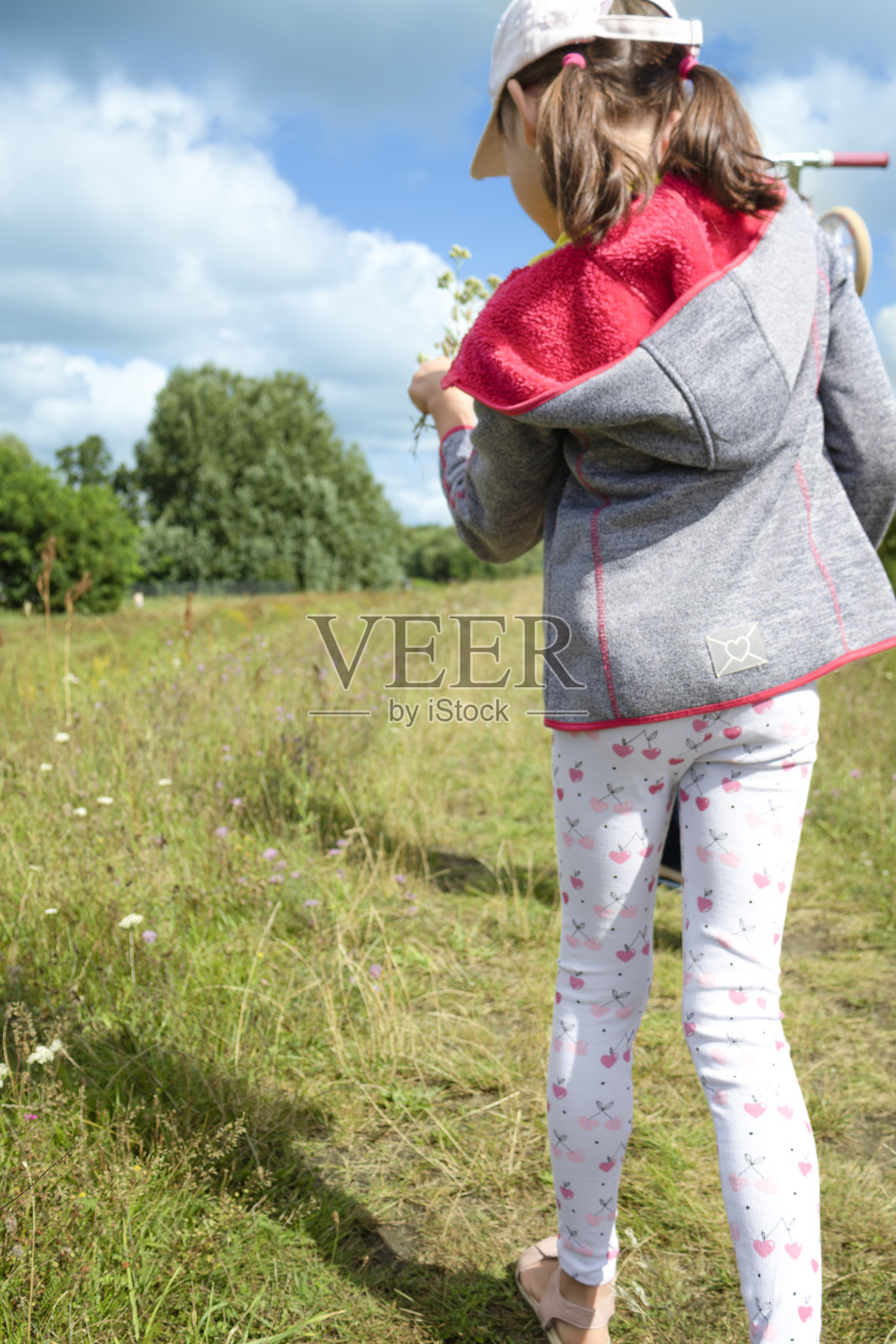 孩子在蓝天下的草地上走，手里拿着一株植物照片摄影图片