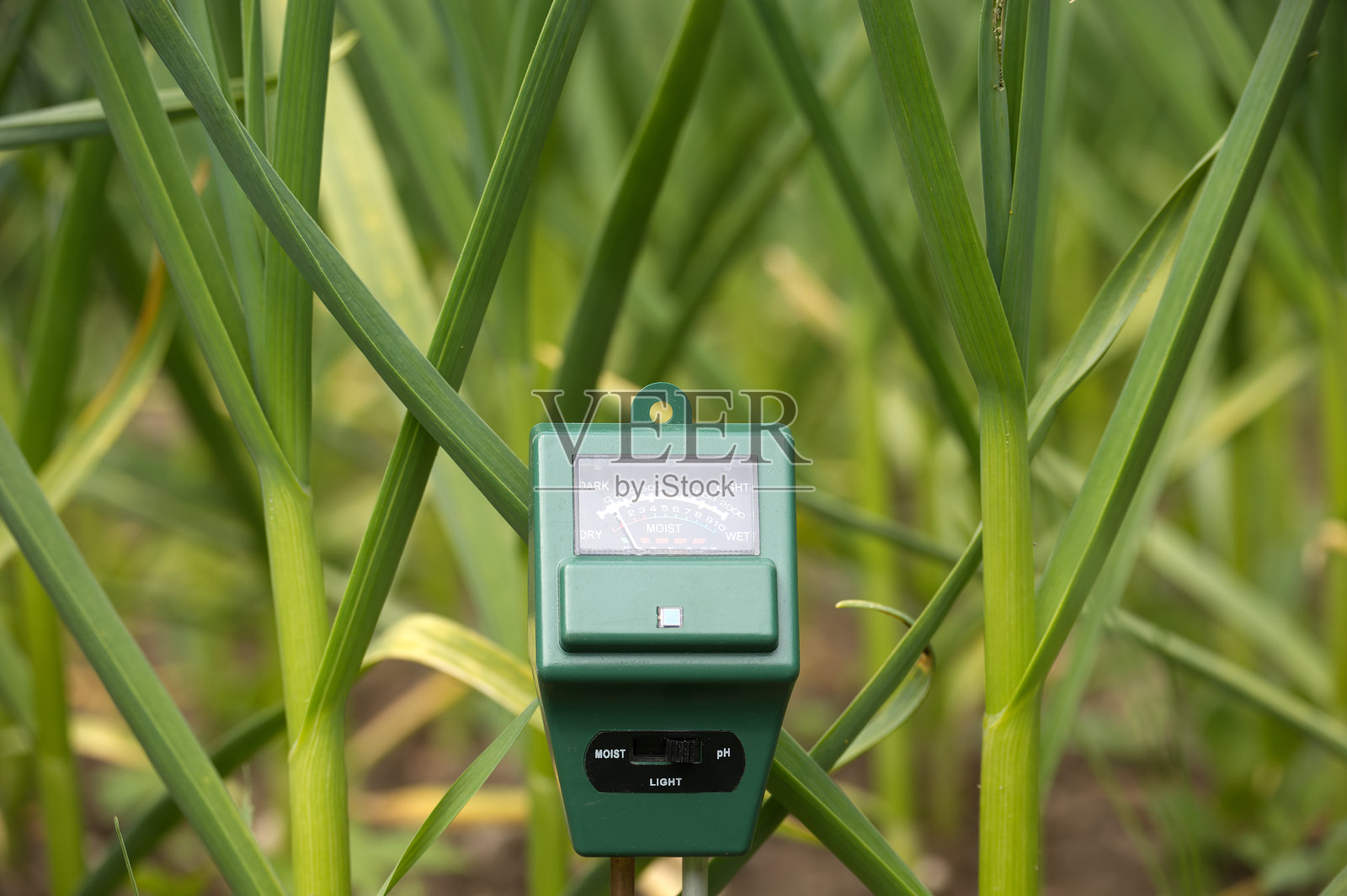 农业测量概念中的土壤分析仪器与绿色植物相伴照片摄影图片