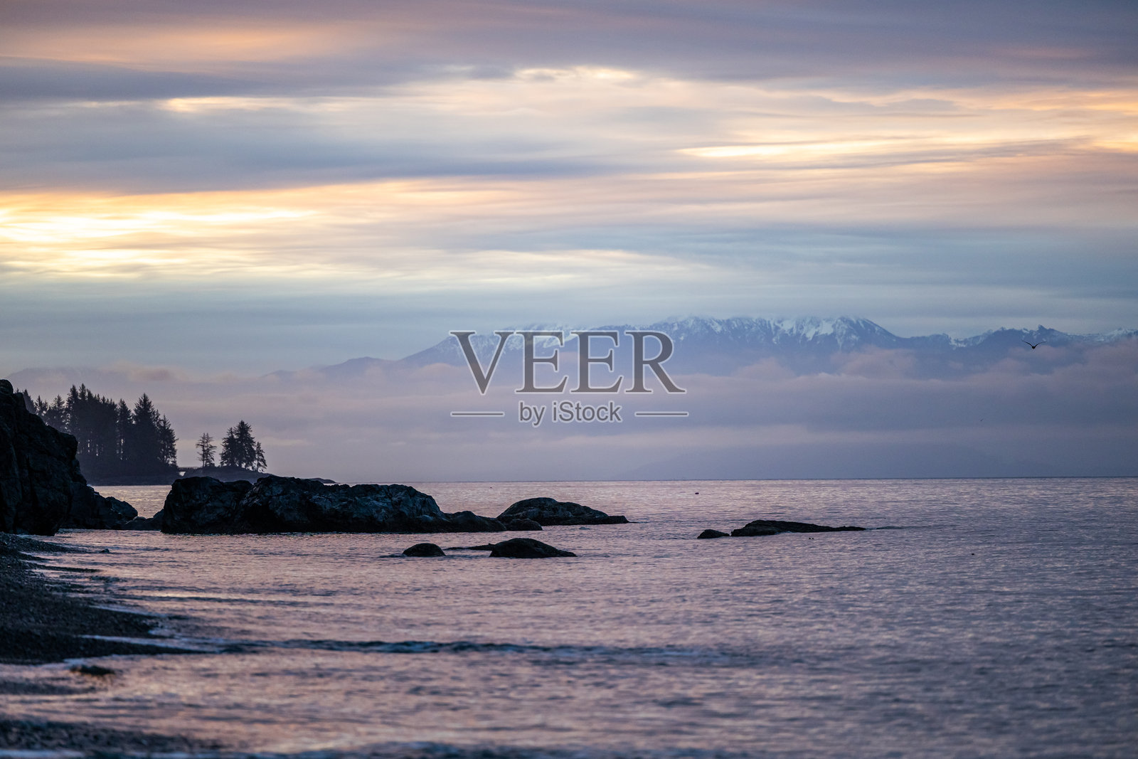 温哥华岛日落时分的宁静海岸风景照片摄影图片