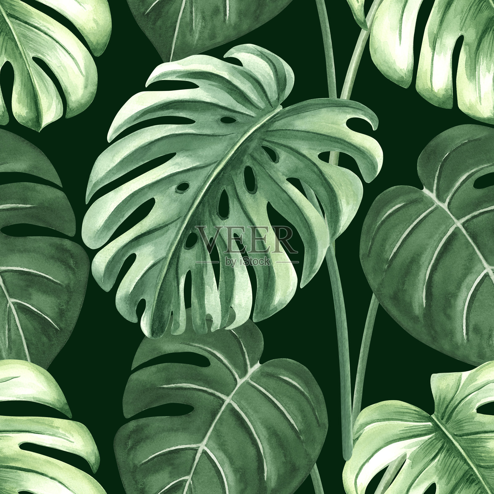 夏季雨林设计的水彩热带棕榈叶插图。单叶植物的植物无缝图案。手绘的丛林植物，采用真实风格。郁郁葱葱的异国植物背景。插画图片素材