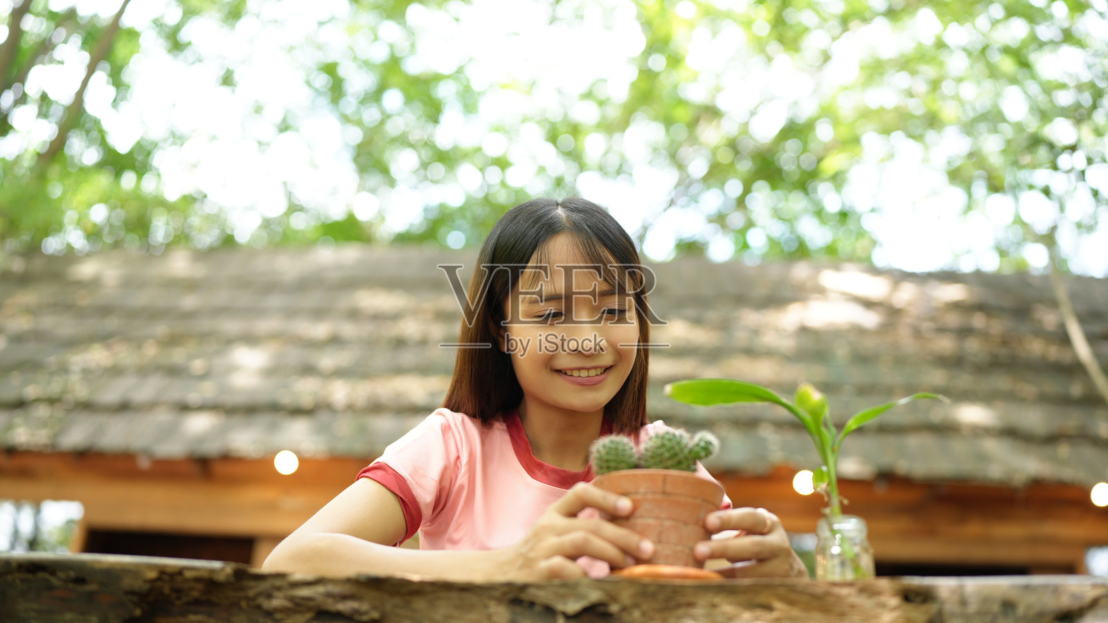 年轻女孩微笑着，手里拿着一盆小仙人掌，身处自然户外环境中，周围绿意盎然，阳光柔和。照片摄影图片