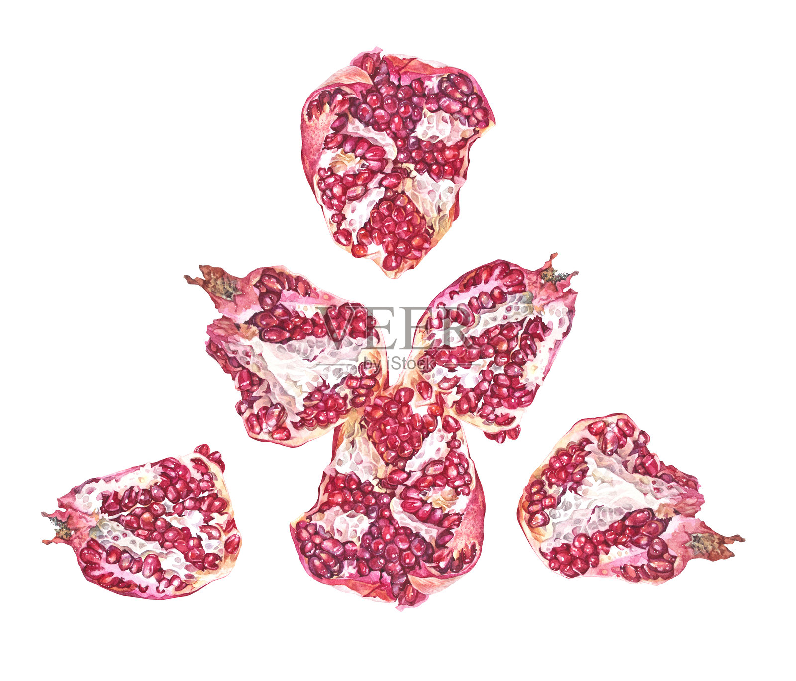 水彩画切开的红石榴和种子，孤立在白色背景上。夏季物品，适合菜单卡或纺织品的石榴。创意食品水果剪贴画，适合厨房贴纸。壁纸或包装。插画图片素材
