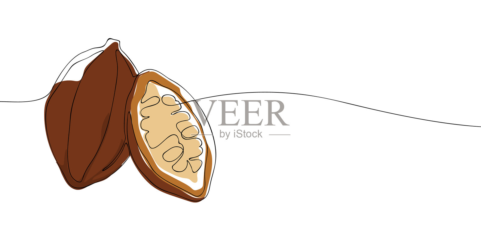极简连续线条插图，展示一个打开的可可豆荚和种子，适合巧克力、有机或植物主题。插画图片素材