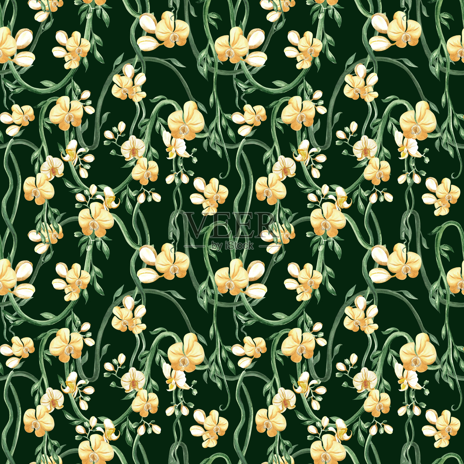 孤立的兰花和热带藤蔓与绿色叶子的水彩插图。用于丛林设计的盛开攀缘植物的无缝图案。手绘的黄色蝴蝶兰以逼真的风格呈现。插画图片素材