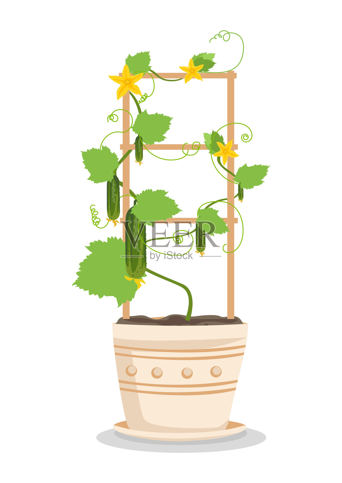 花盆里的黄瓜插画图片素材