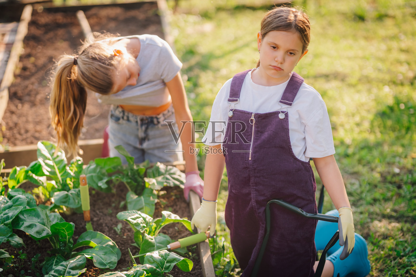 年轻女孩们一起园艺，一个看起来无聊，而另一个则忙碌着。照片摄影图片