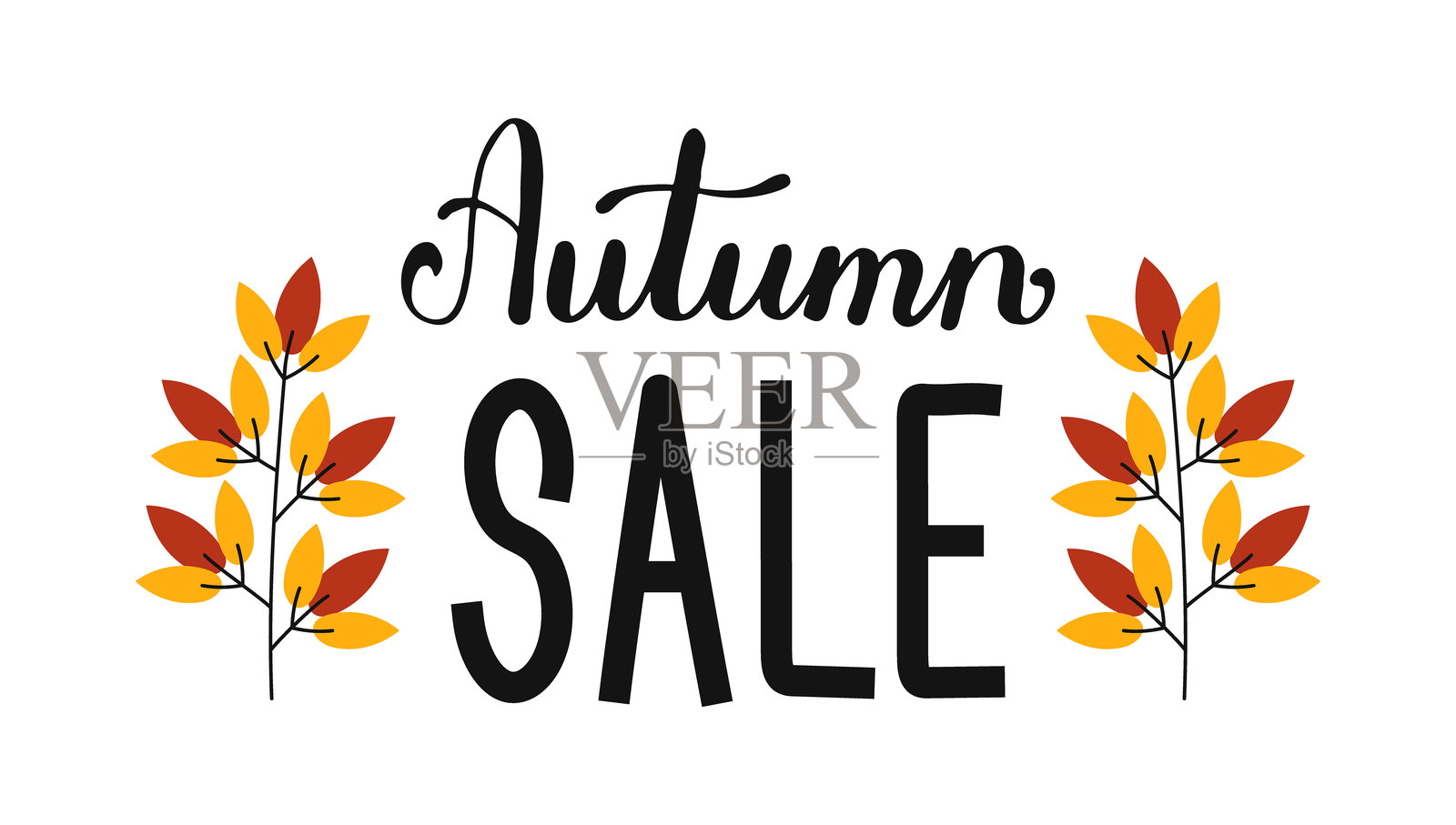 秋季促销手写字 isolated on white background. 折扣文本横幅模板. 手绘书法字母与叶子. 提供横幅、海报的排版文字.插画图片素材