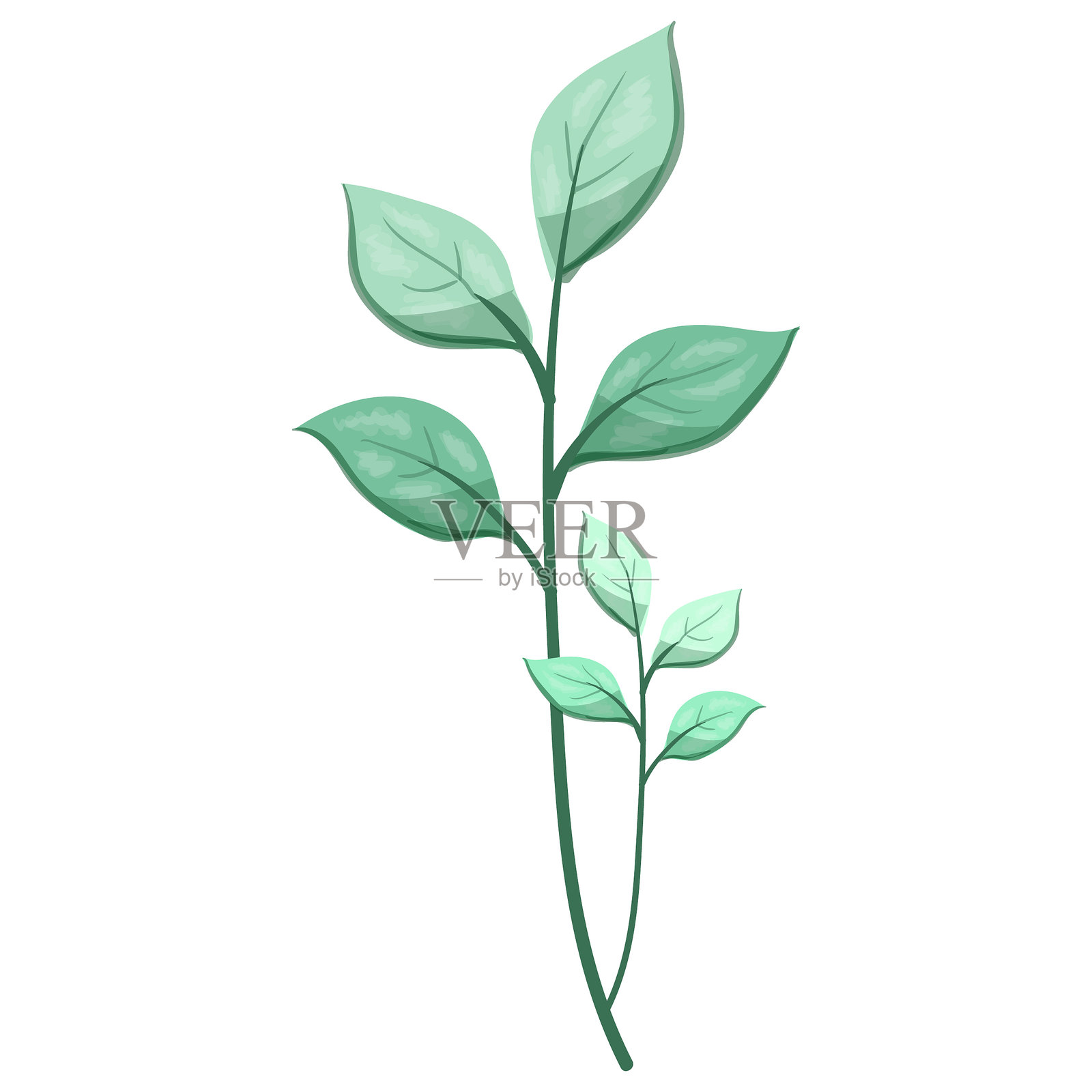 杂草的长形叶子插画图片素材