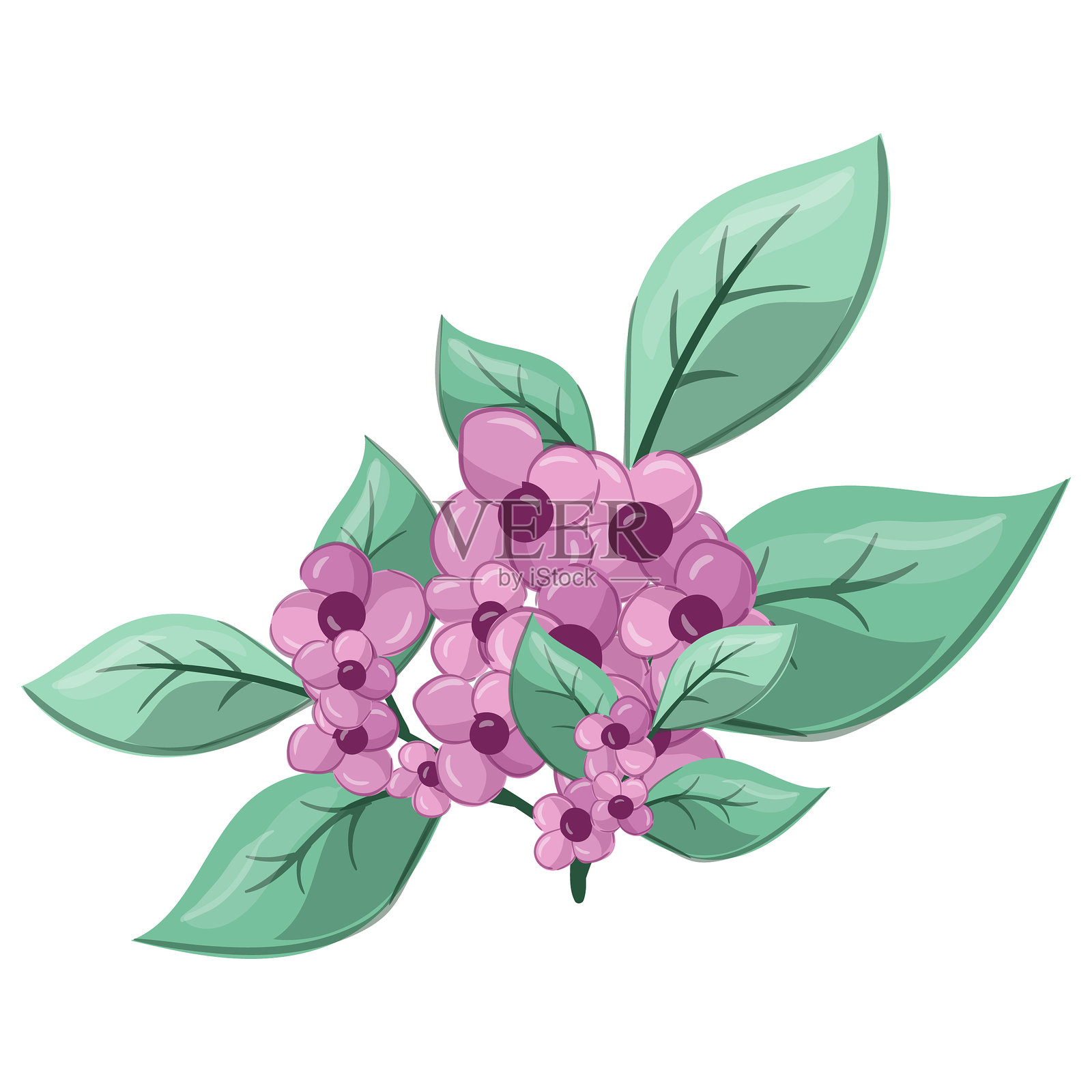 新鲜的叶柄小花插画图片素材