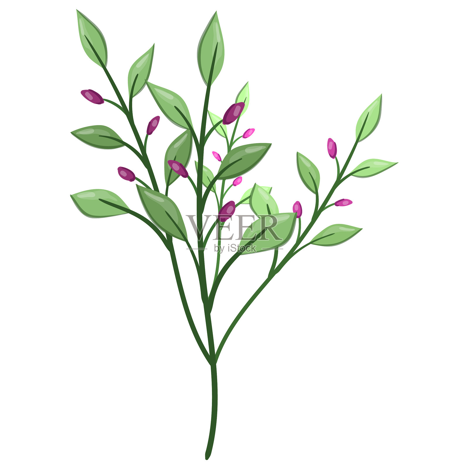 春季花卉植物插画图片素材