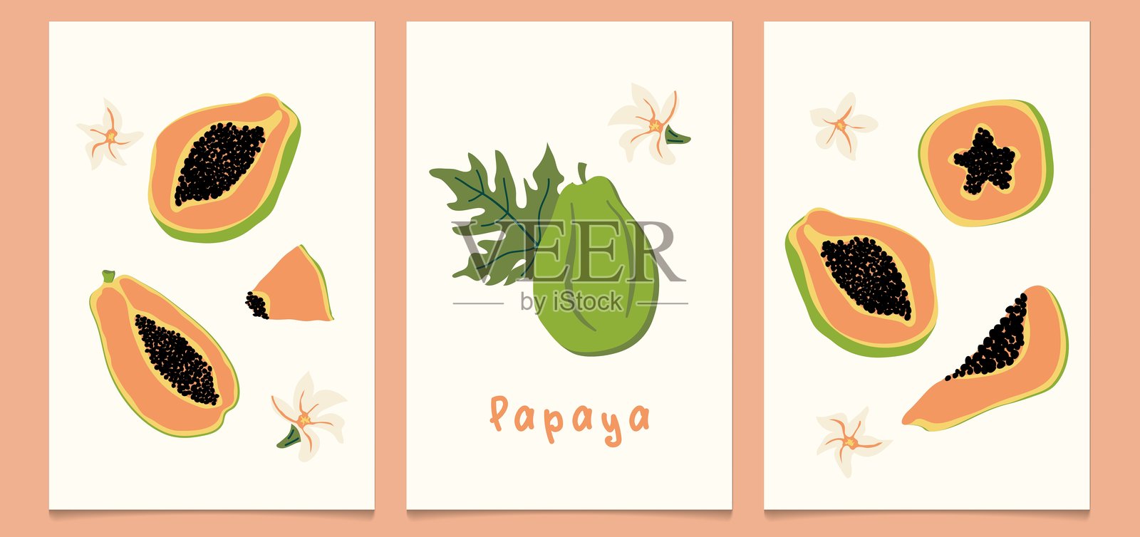 一组手绘复古海报，展示成熟的木瓜。现代植物印刷，包含手绘的木瓜、叶子和花朵。插画图片素材