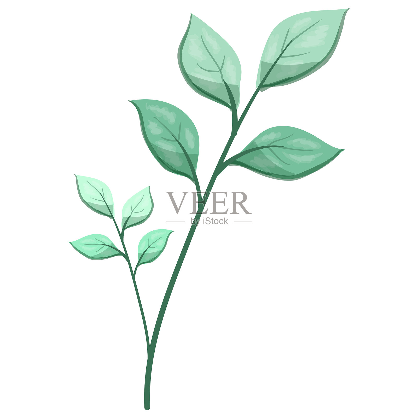 杂草的长形叶子插画图片素材