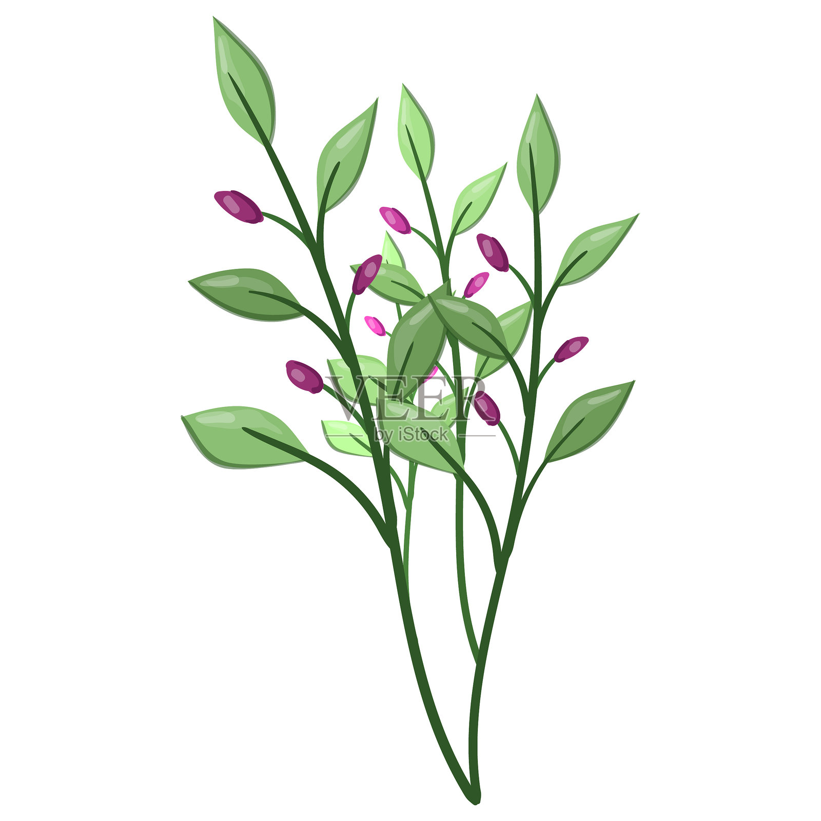 春季花卉植物插画图片素材