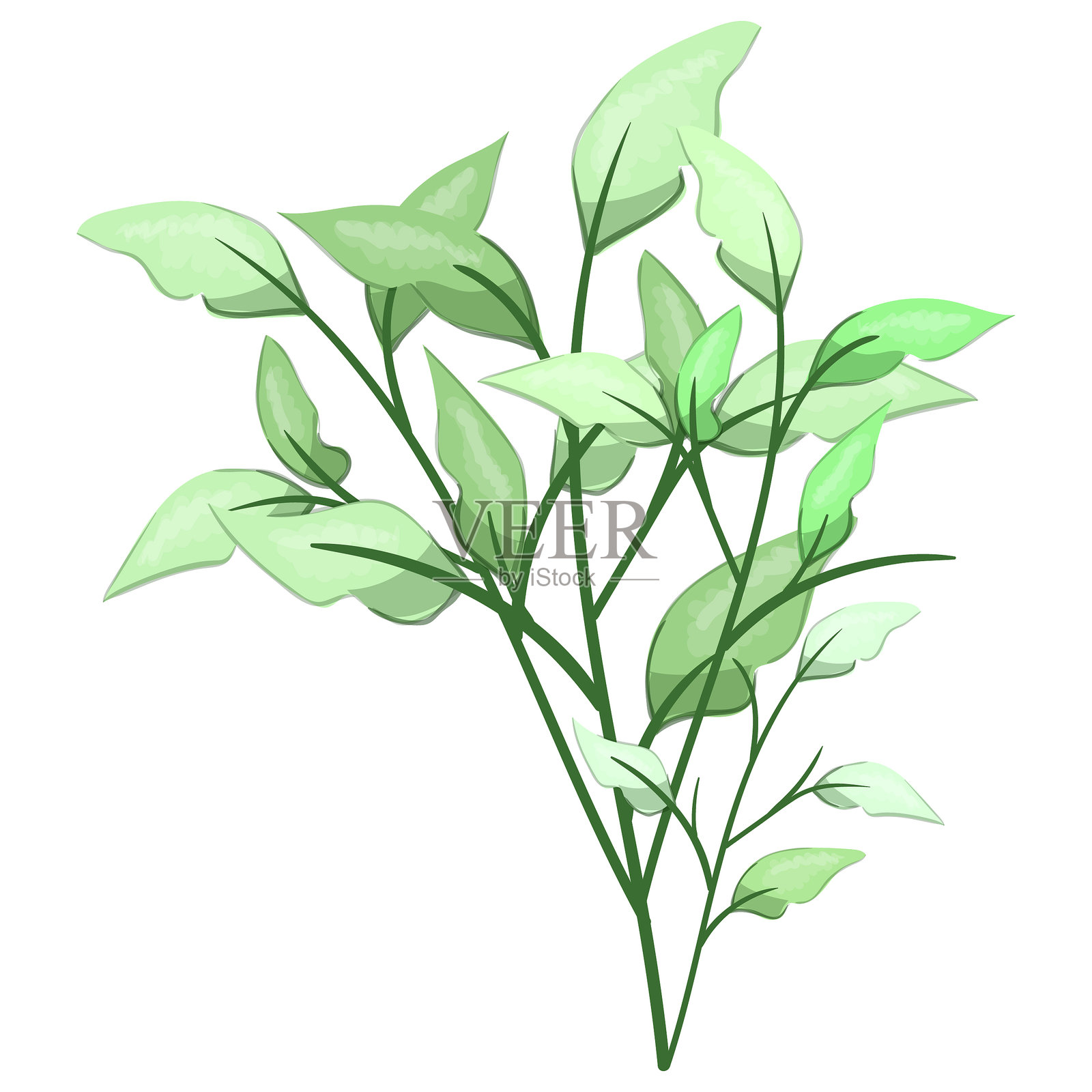 春天的叶子插画图片素材