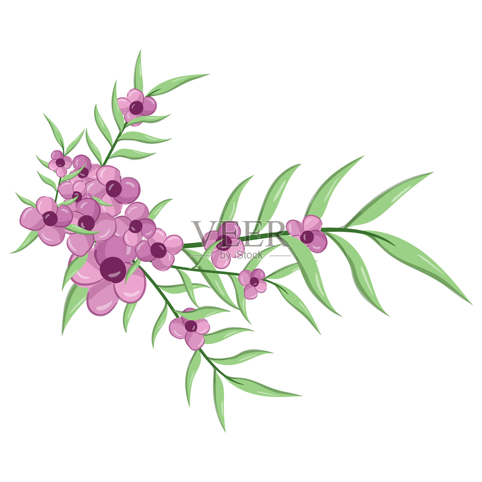 小花长叶杂草插画图片素材