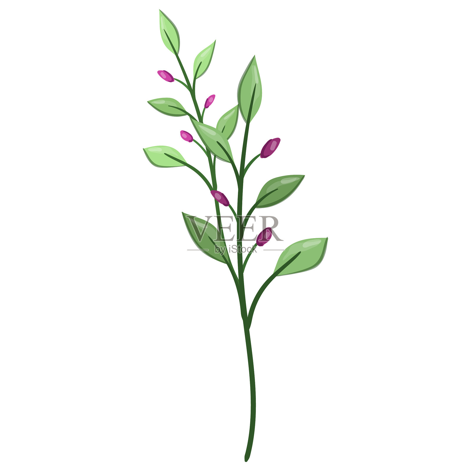 春季花卉植物插画图片素材