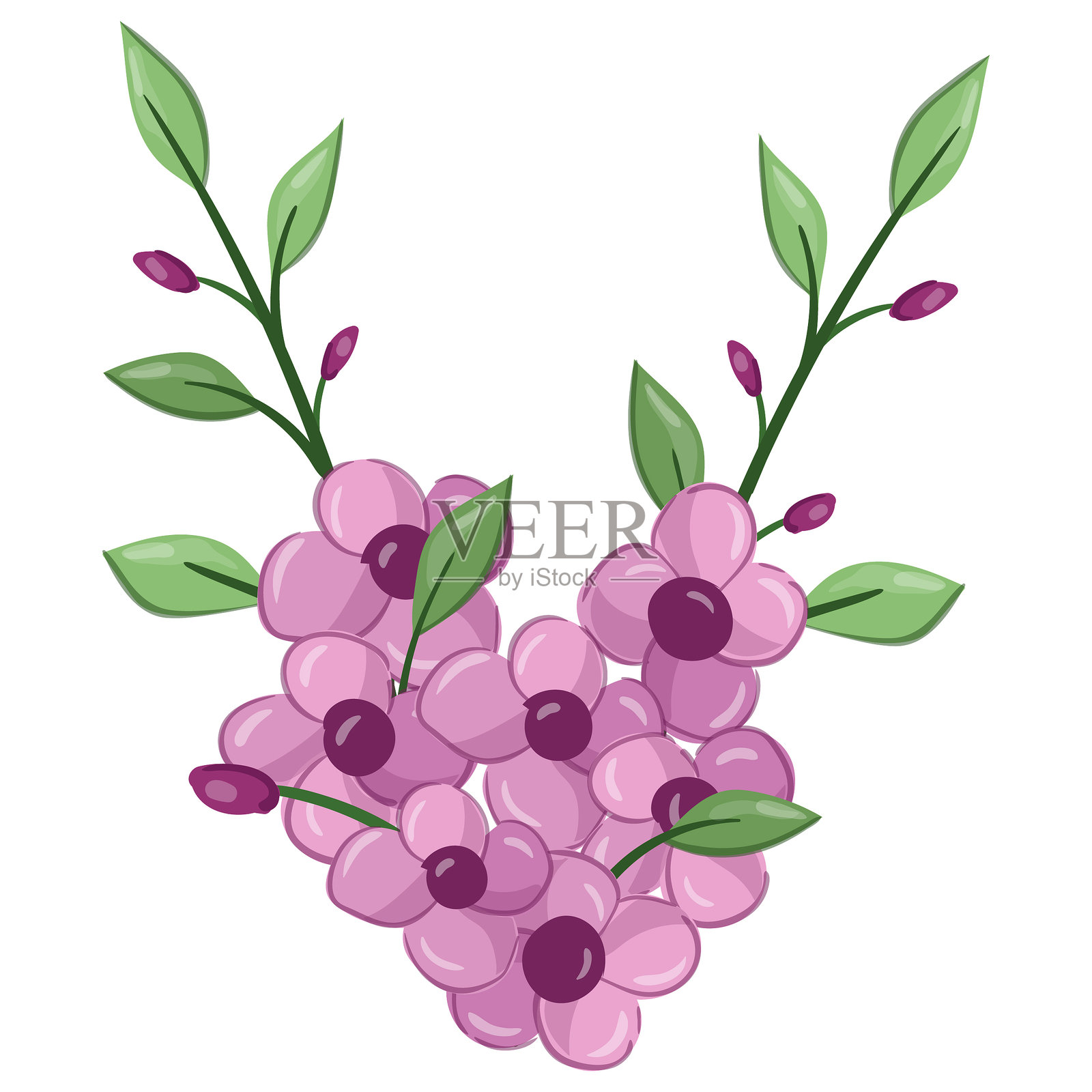 小花 春季花卉植物插画图片素材