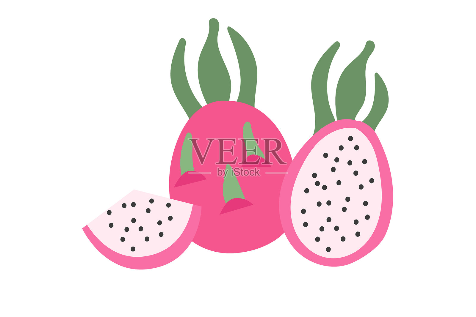 火龙果插画图片素材