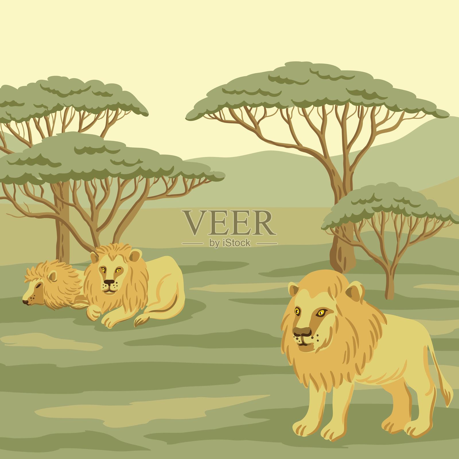 非洲风景的矢量图，背景中有狮子插画图片素材