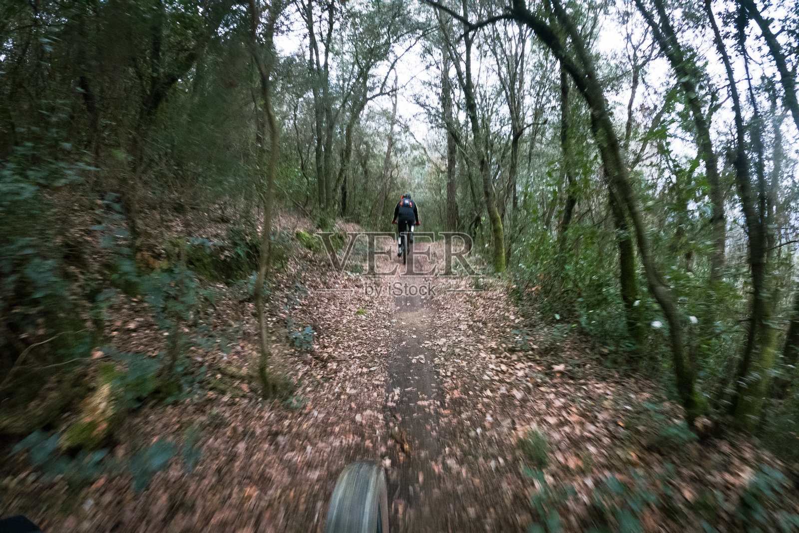 在山地自行车赛中，骑手视角追逐另一名骑手，穿越森林的山地自行车小径照片摄影图片