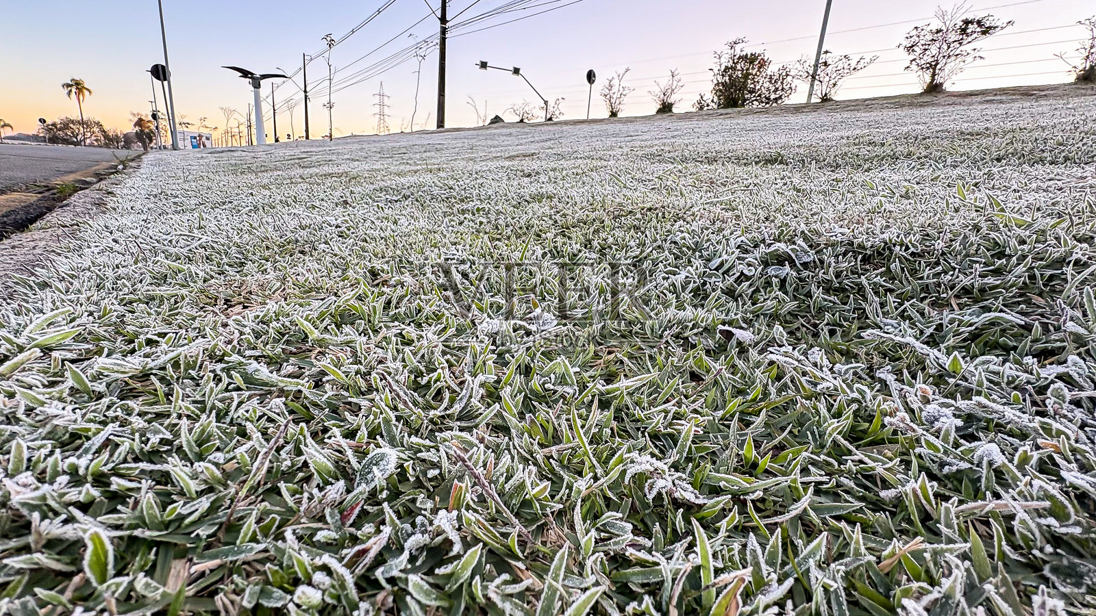 草地上的霜，前景中聚焦于冰霜照片摄影图片
