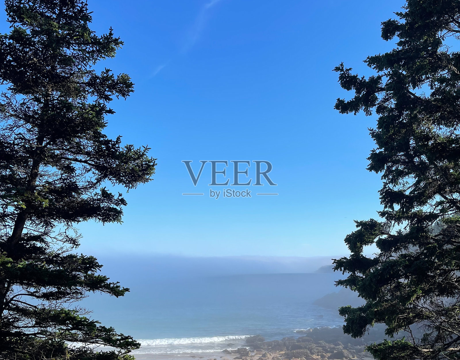 缅因州阿卡迪亚国家公园的沙滩照片摄影图片