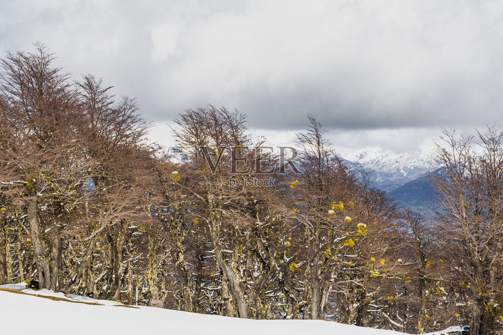 在巴约山 - 安哥斯图拉别墅 - 内乌肯 - 阿根廷照片摄影图片