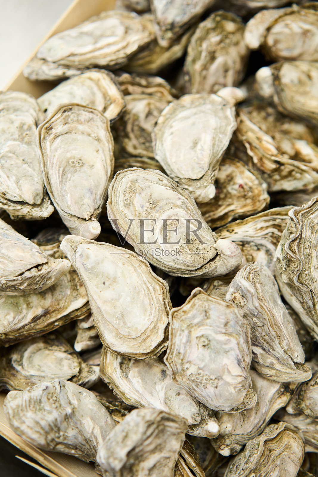 市场上的生蚝照片摄影图片