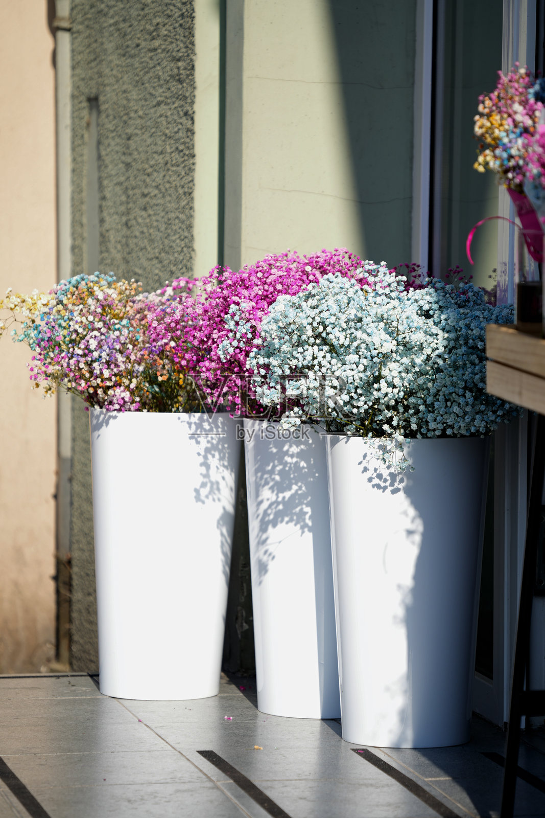 美丽的满天星在白色花瓶中。照片摄影图片