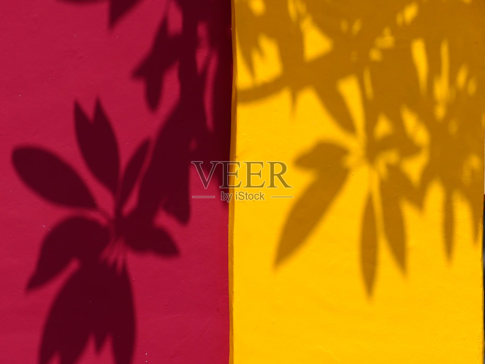 墙上的阴影，塔萨科特，拉帕尔马岛，加那利群岛照片摄影图片