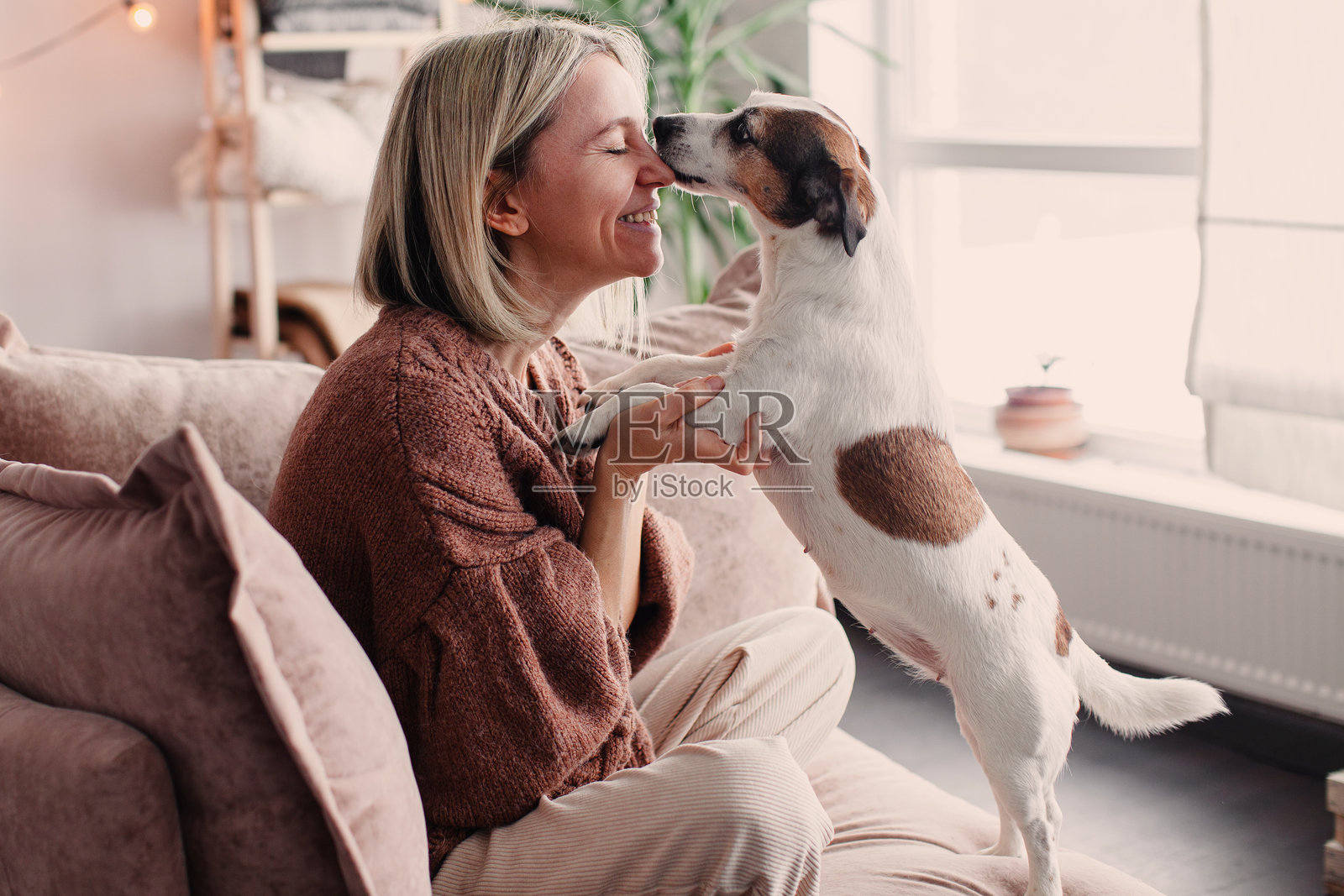 中年女性与她的狗在家中的沙发上休息照片摄影图片