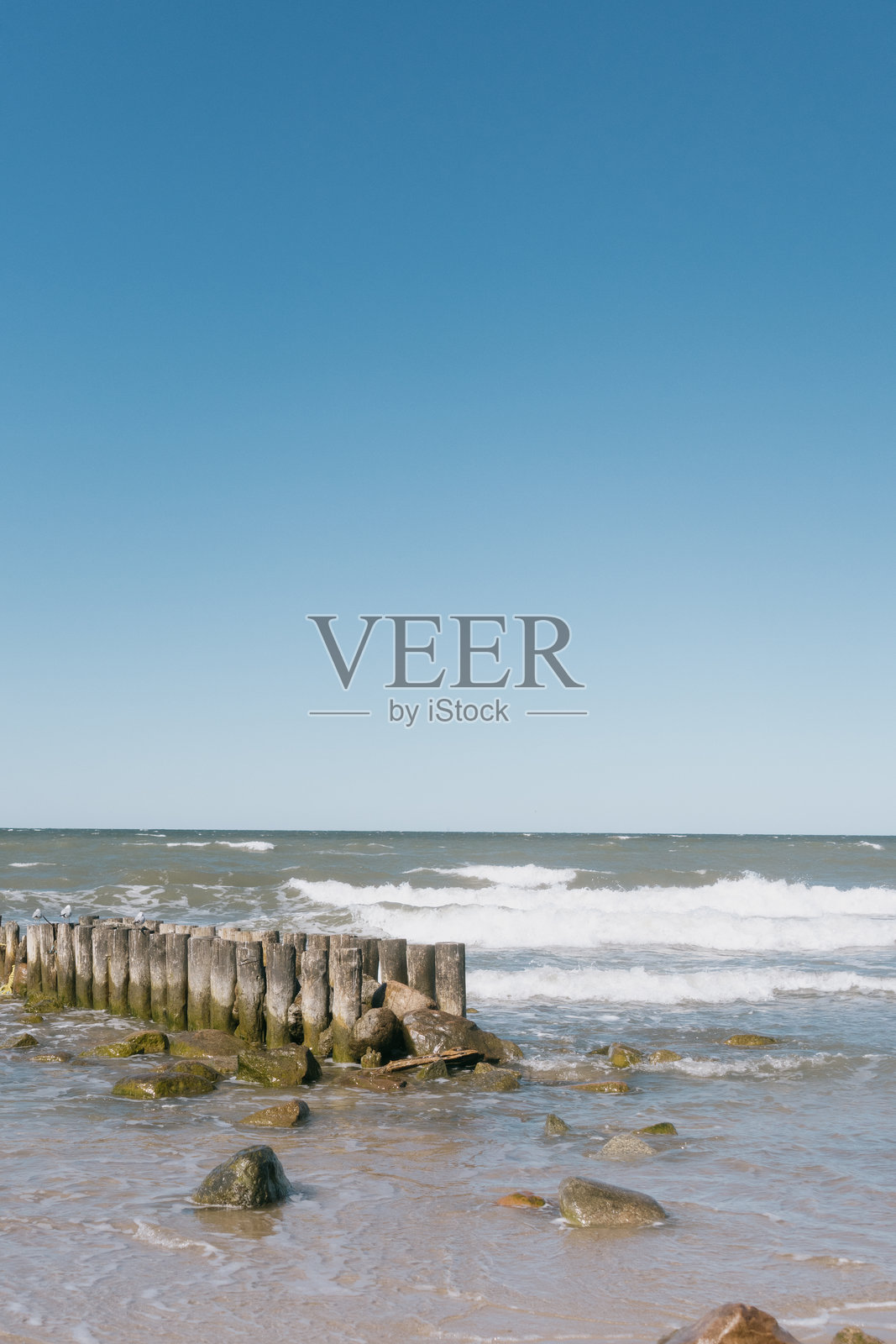 岩石海滩上有一个木栈道和一个池塘。天空晴朗湛蓝。照片摄影图片