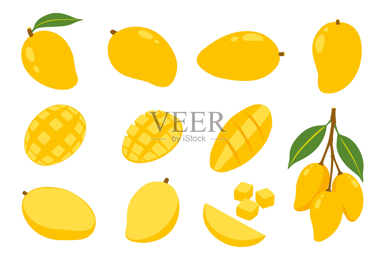 一组热带水果芒果的矢量插图。背景为白色。矢量格式eps 10。非常适合用作壁纸或设计元素。插画图片素材