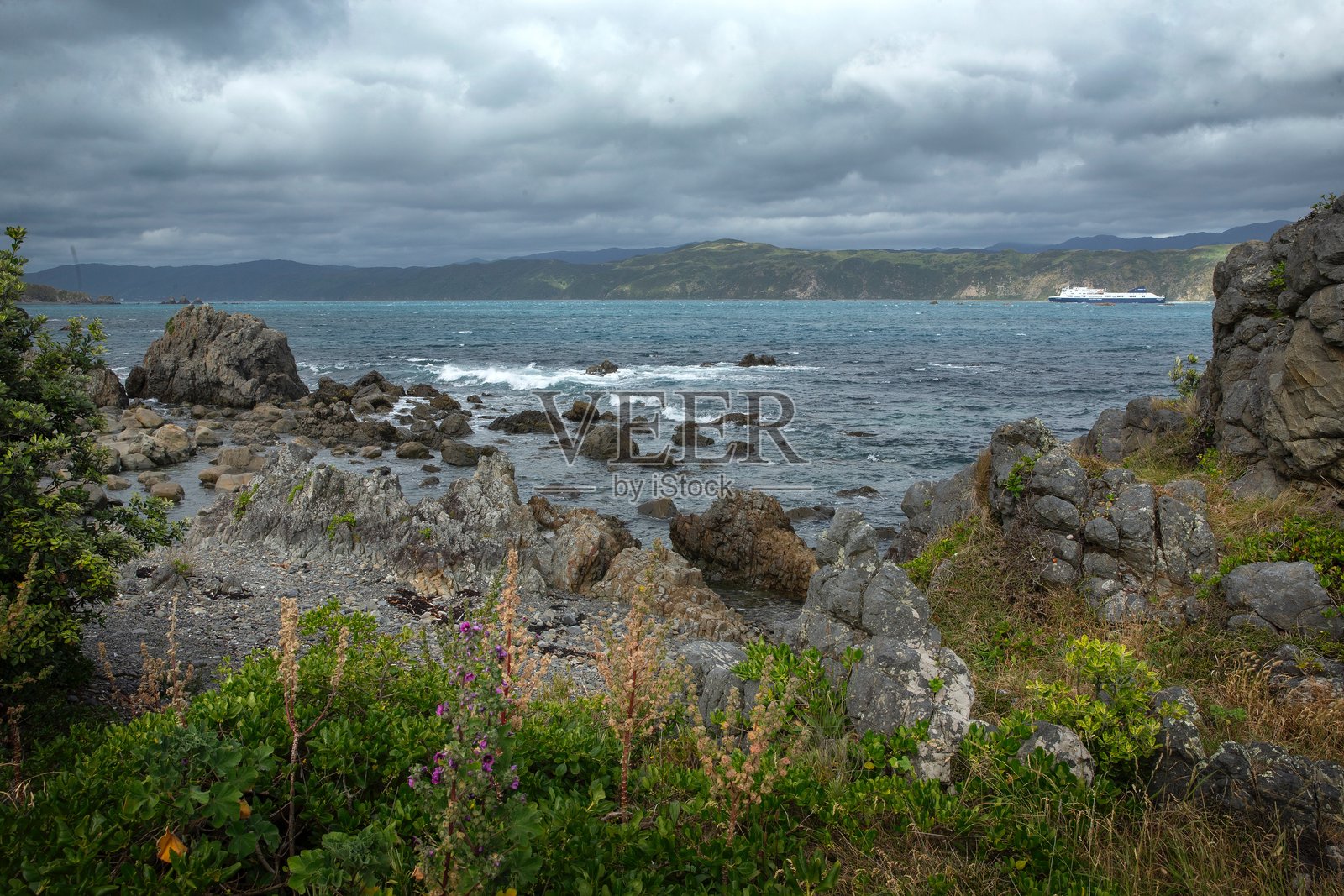 威灵顿附近塔斯曼海的莫阿角岩石海岸。照片摄影图片