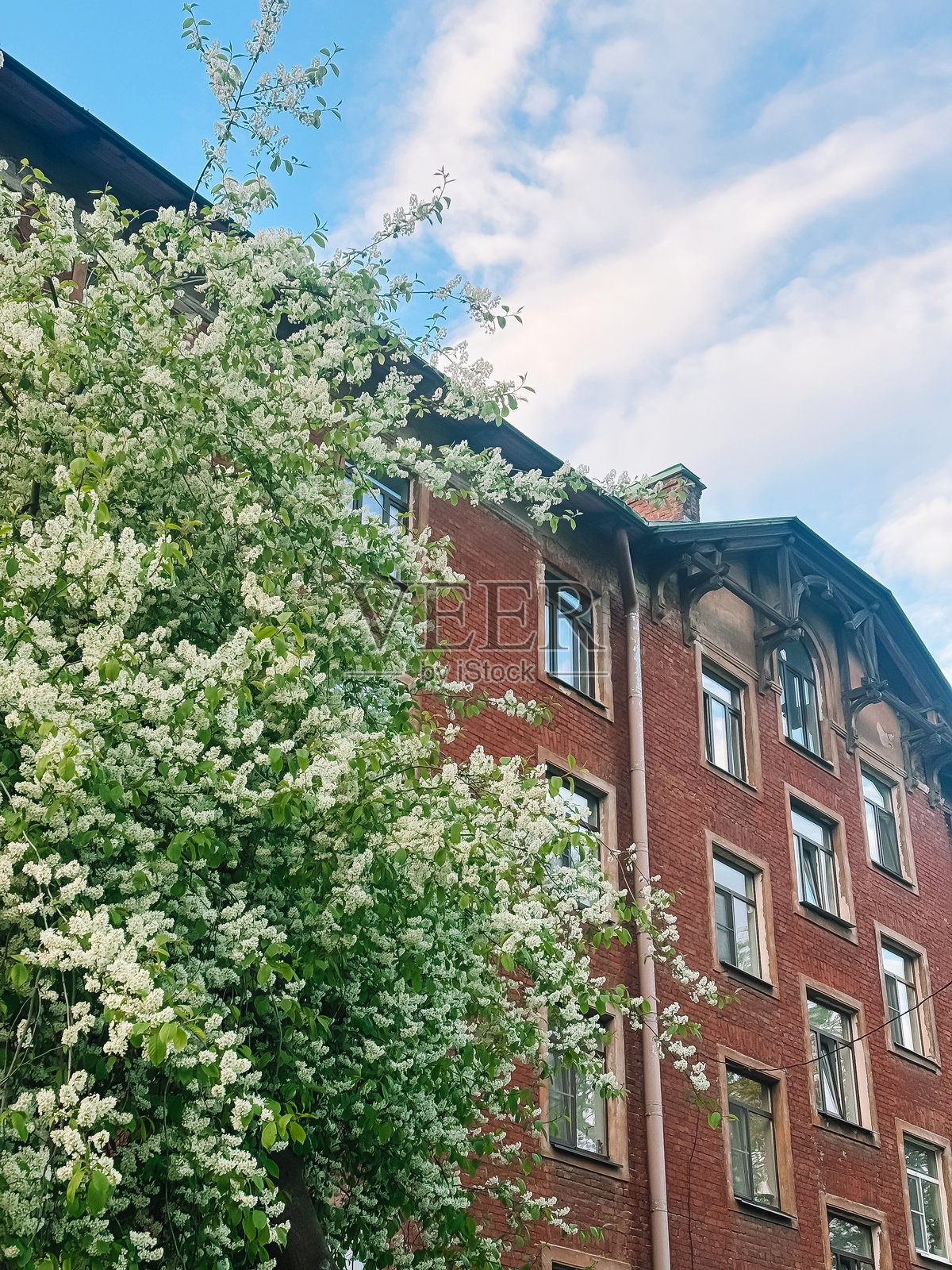 阳光明媚的夏日，盛开的树木旁是一座美丽的老砖建筑照片摄影图片