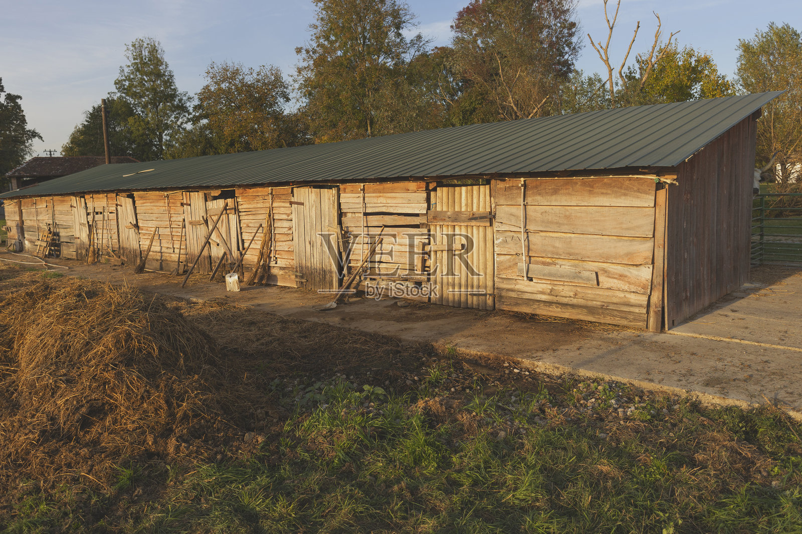 乡村风格的木质谷仓在清晨的阳光下矗立于乡村风景中照片摄影图片