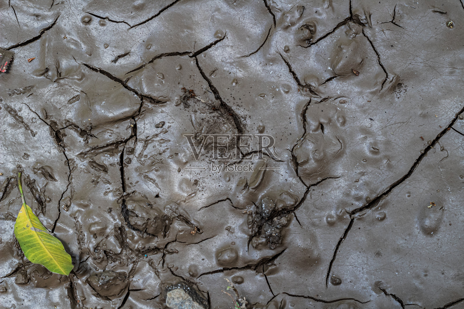 干裂泥土的抽象自然背景图案照片摄影图片