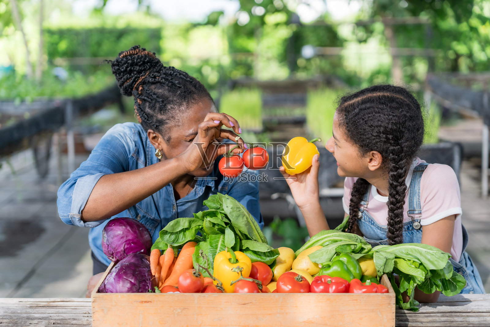 快乐的黑人农民母女在蔬菜农场，专注于农业、商业增长和装箱的农产品。非洲工人或供应商对丰收和园艺感到兴奋。照片摄影图片