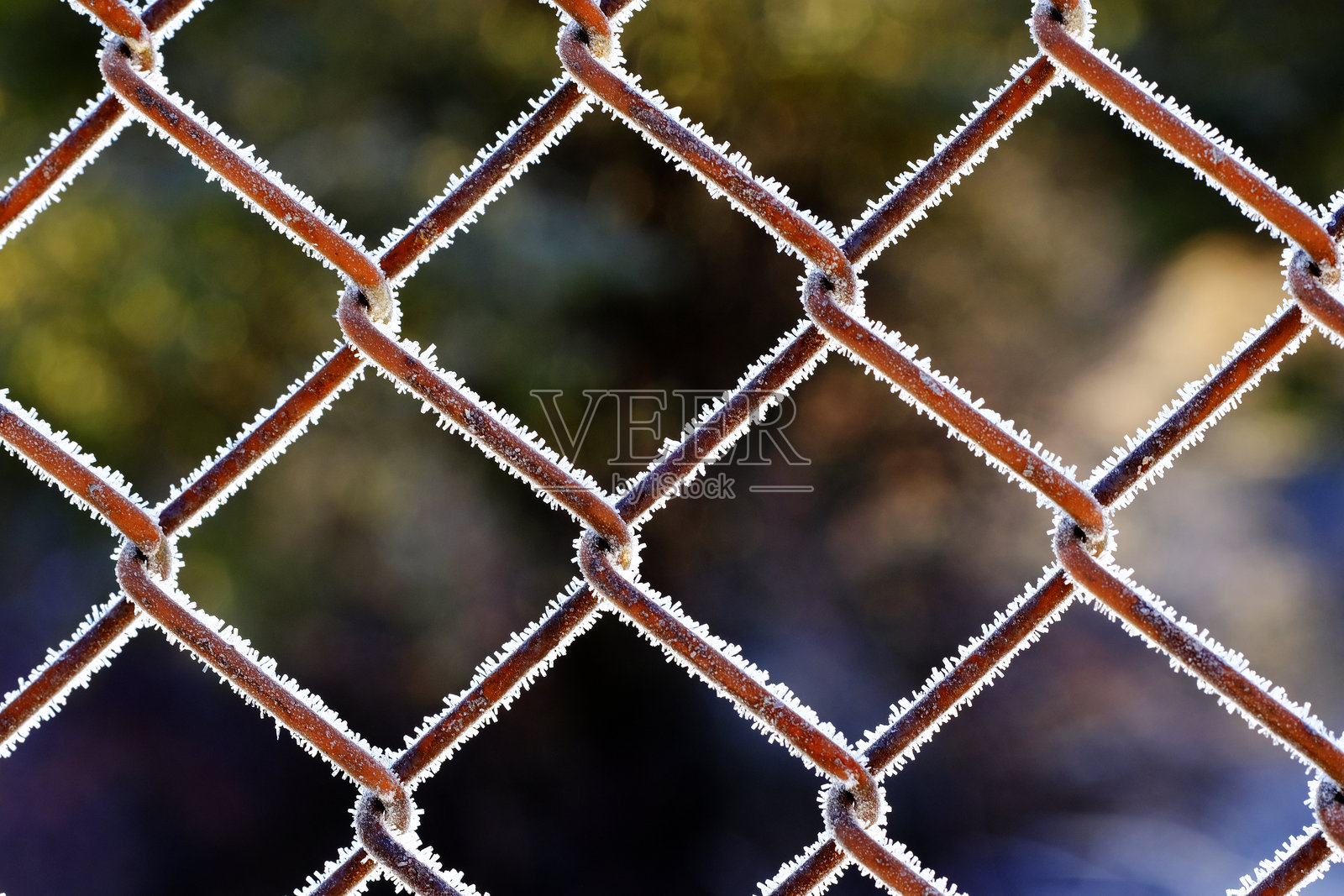 冰冷冬季中带有冰霜的链条链接围栏照片摄影图片