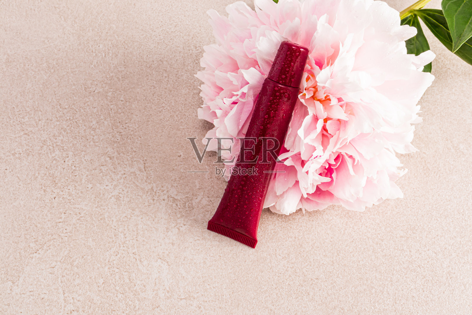 一支未命名的化妆品管靠在一朵华丽的粉色牡丹花上。米色石材背景。留白的空间。空白管布局。照片摄影图片