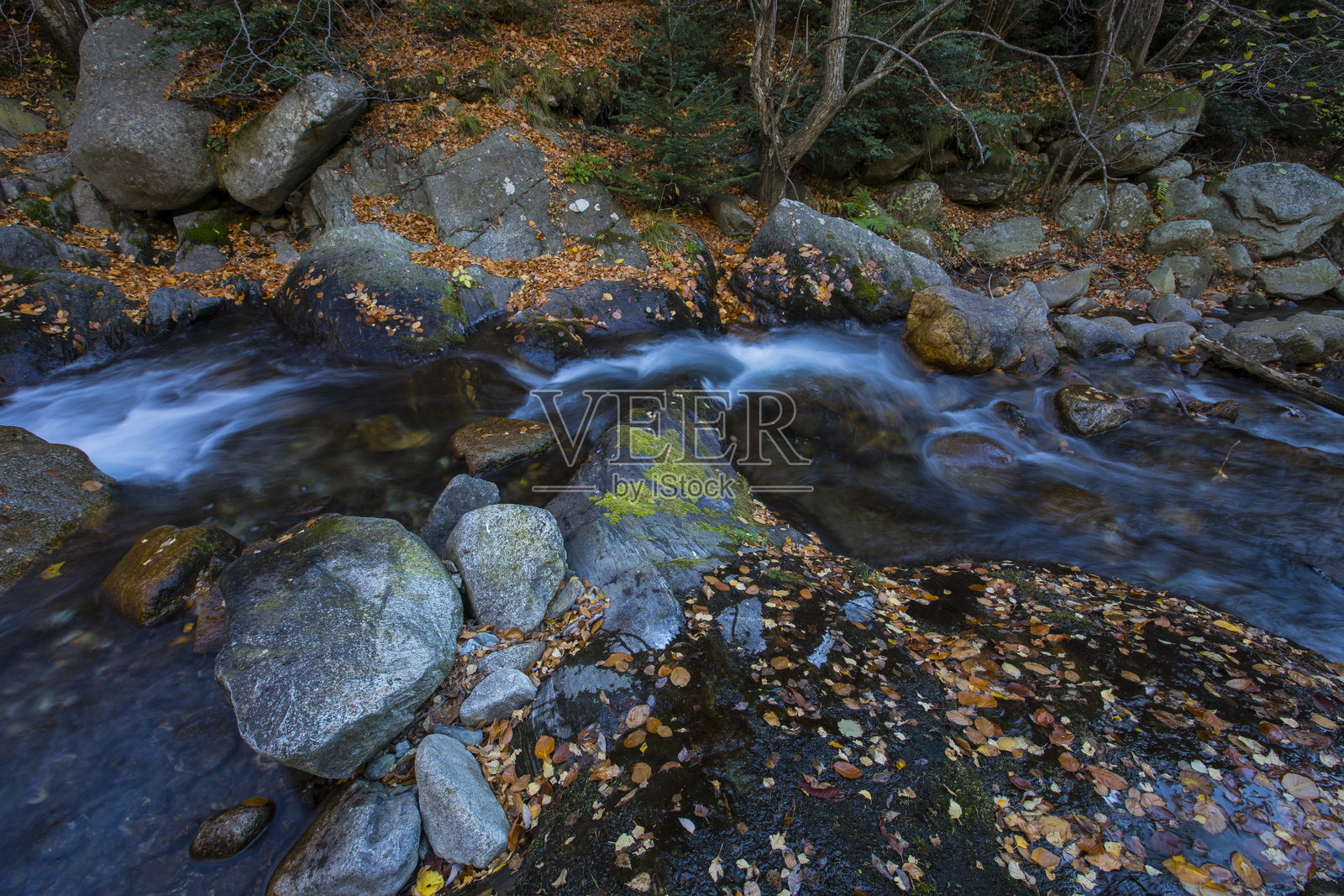 西班牙比利牛斯山脉里波列斯的坎普罗东秋季景色照片摄影图片