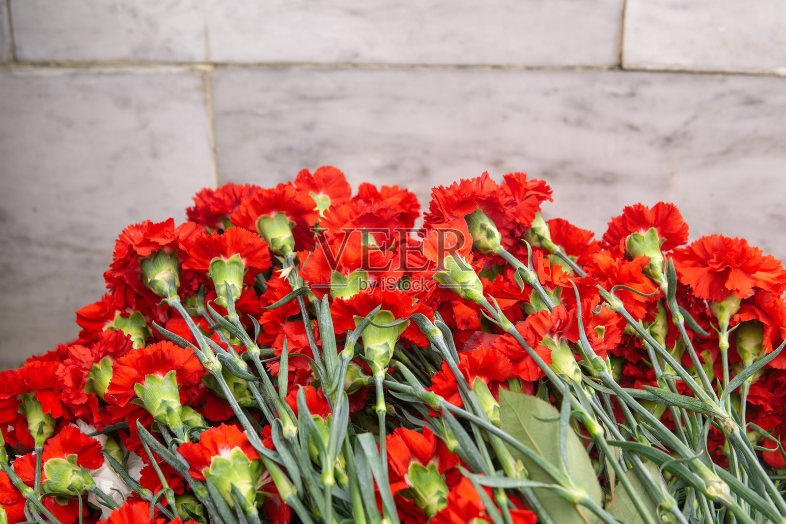 一束红色康乃馨花在石墙前照片摄影图片